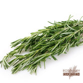 Rosemary Extract  Natural antioxidant